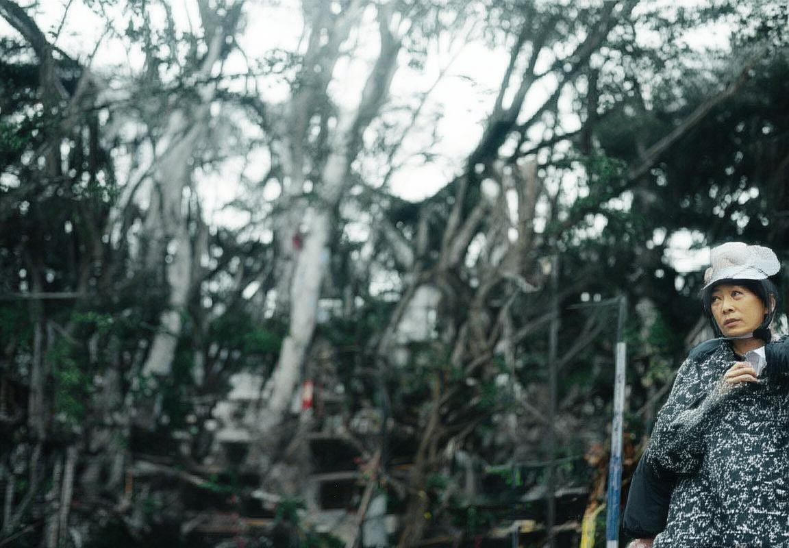 阪樱花VS广岛三箭：赛季目标、战术对决与未来展望