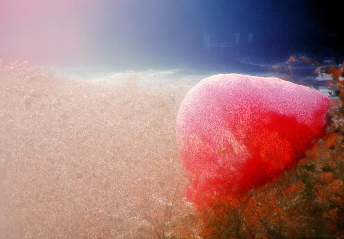 阪樱花VS广岛三箭：赛季目标、战术对决与未来展望(图2)